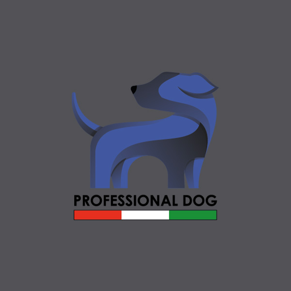 Mateo Carello - Professional Dog - 2